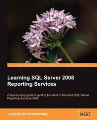 Image of Learning SQL Server 2008 Reporting Services