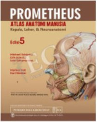 Image of Prometheus : Atlas Anatomi Manusia (Kepala, Leher, & Neuroanatomi)