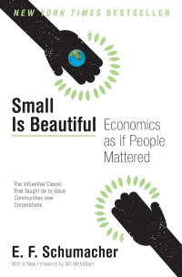 Image of Small is Beautiful Economics as if People Mattered