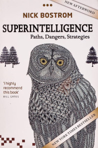 Image of Superintelligence: Paths,Dangers,Strategies